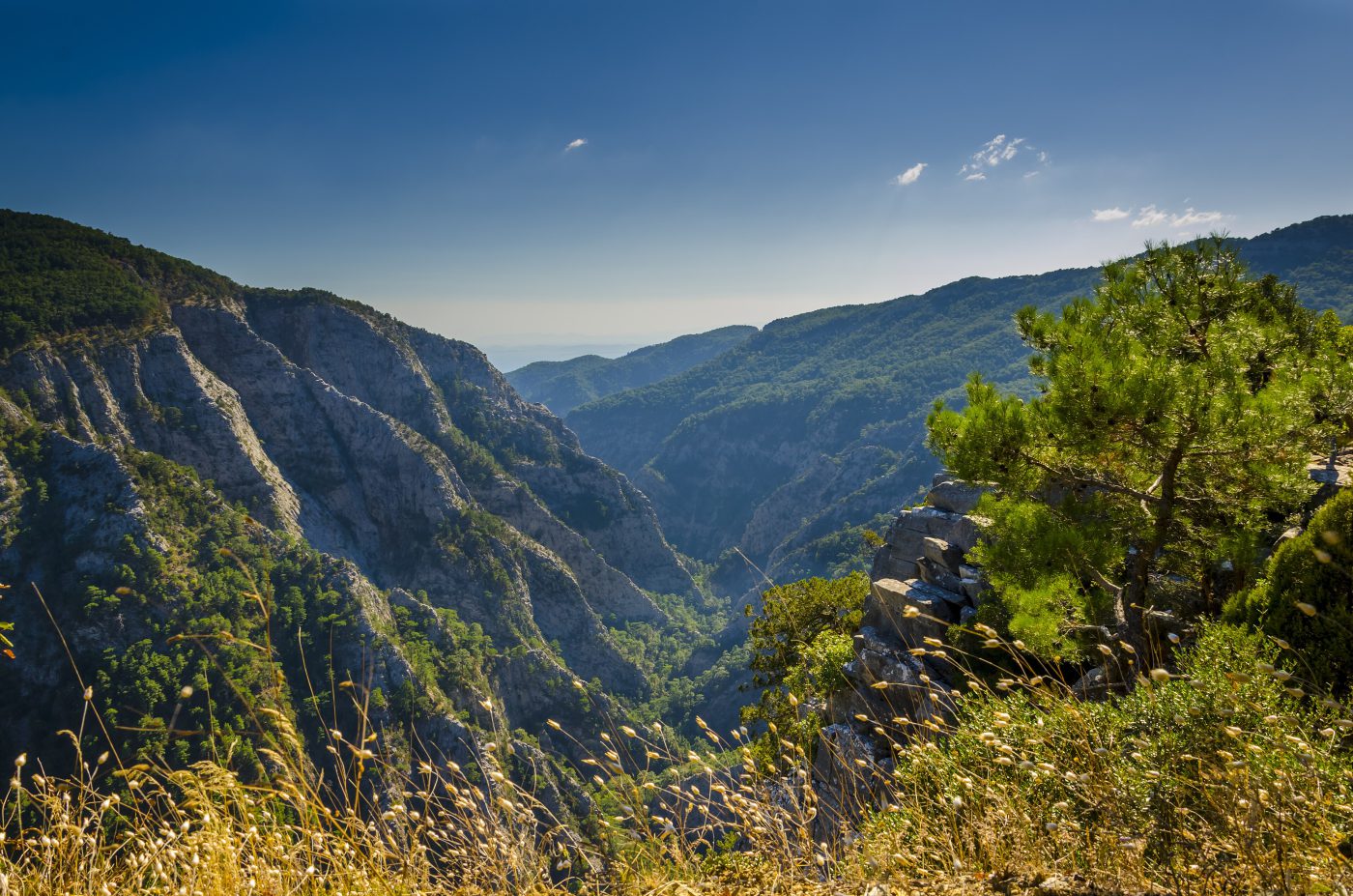 Alanya - Balıkesir