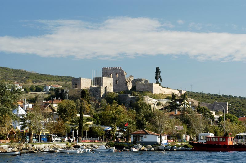 Alanya - Kocaeli